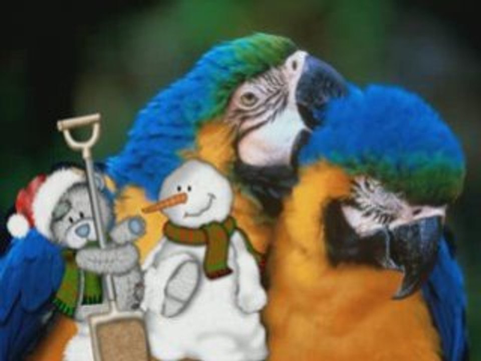 PA¨PAGAYOSS  et TEDDYS