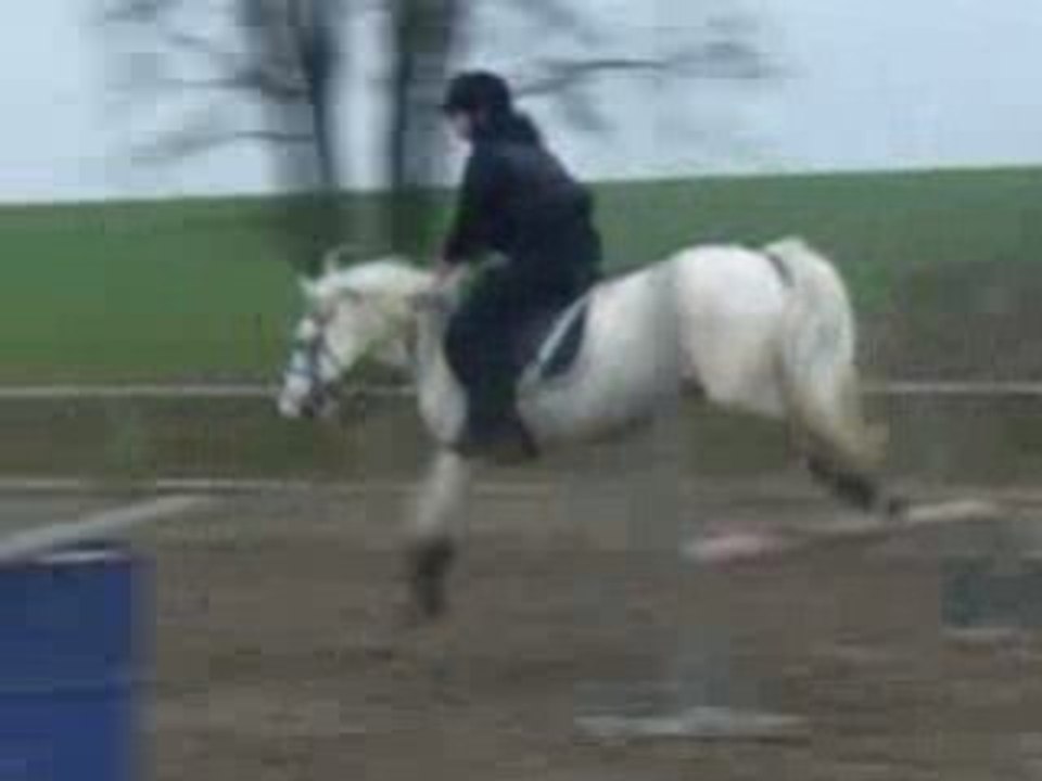 SAUT AVEC FICELLE.