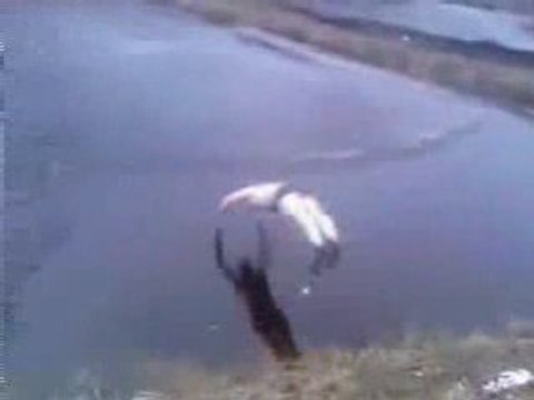 Plongeon dans un lac gelé ptdr..