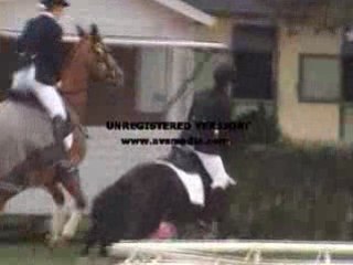 Amina et Bilou au tour d'honneur de Saumur !!