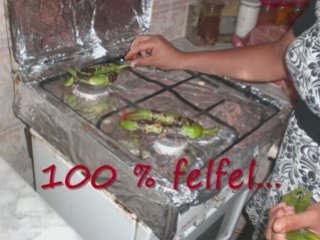 100% felfel mezoued ambiance 2