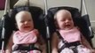 Cute Funny Babies Laughing at Mother