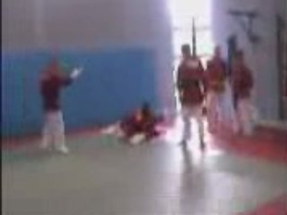 shindokai combat