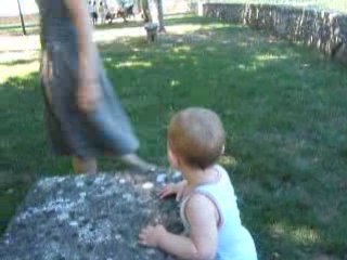 Suite castres 08 161VIKTOR