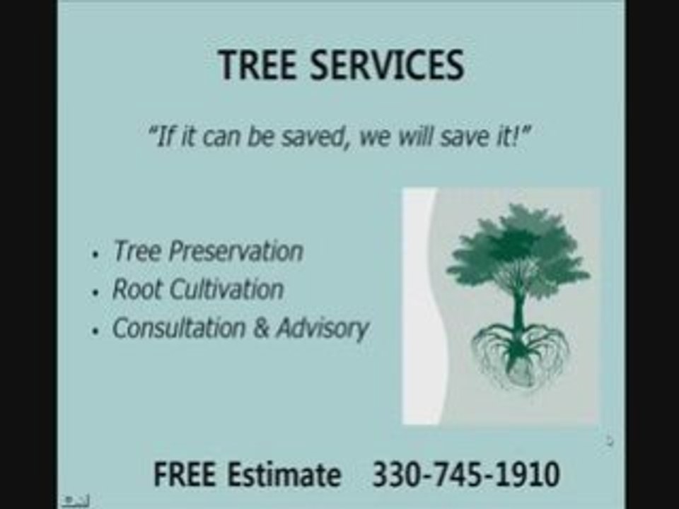 Termite & Pest Control Akron Ohio