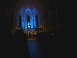 Polyfollia 2008 - Pro Musica