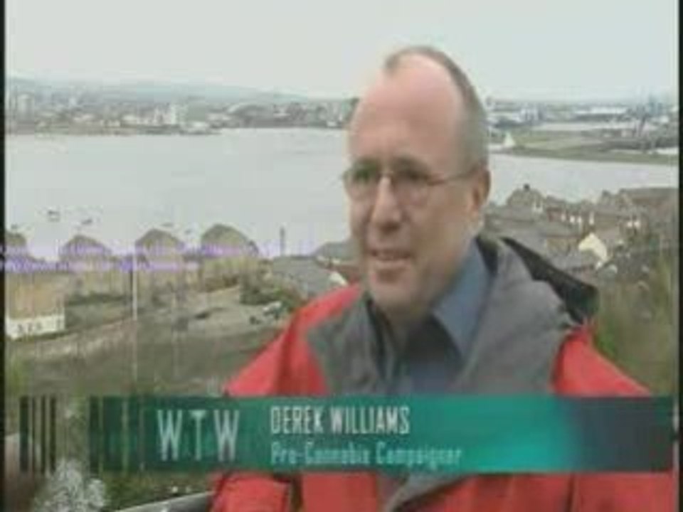 Contaminated Cannabis on the news- Part 1