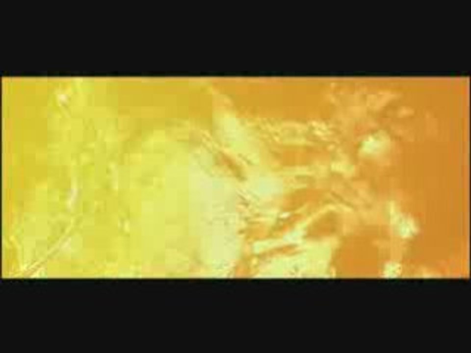 Gojira - Vacuity
