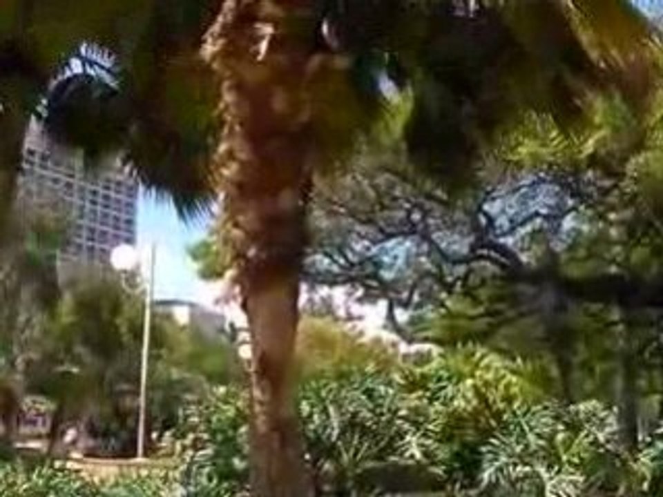 La Place des cocotiers, Nouméa, Nouvelle-Calédonie