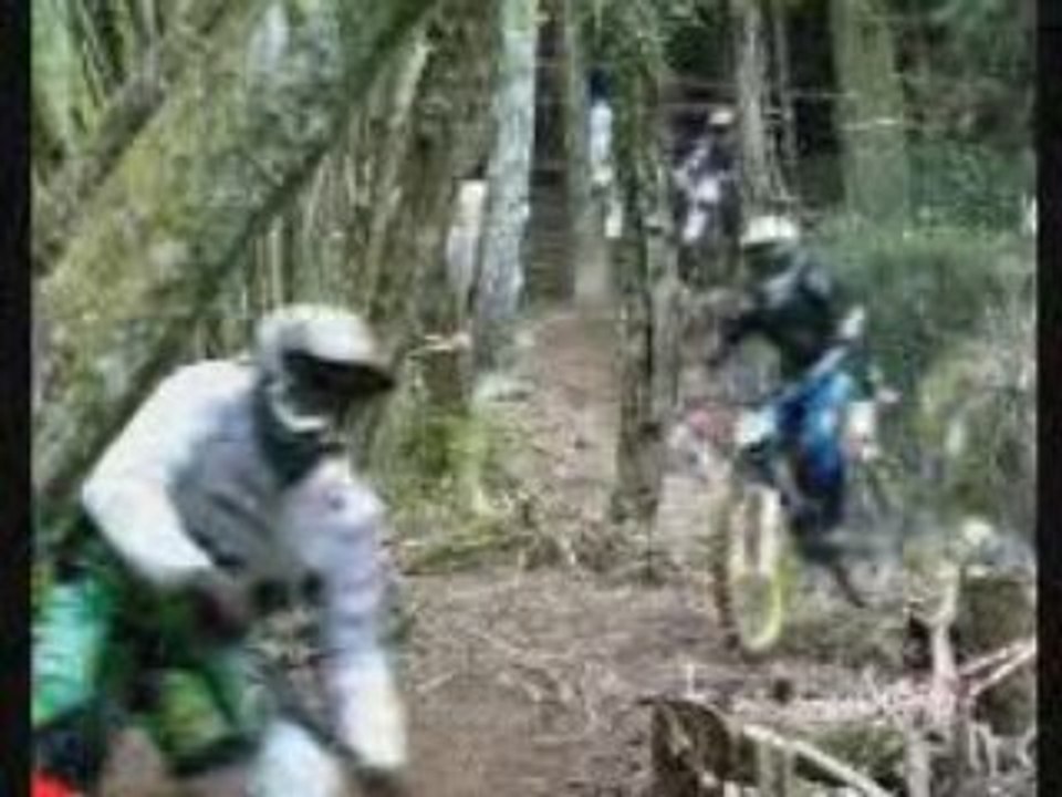 Filme lourdes 2008