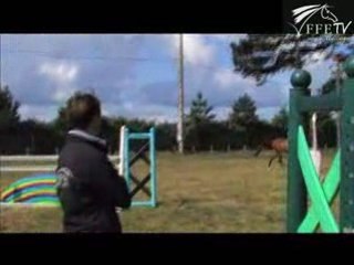 FFE Accueil - Ffe-tv