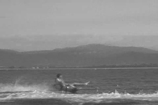 Video Seminaire été 2008