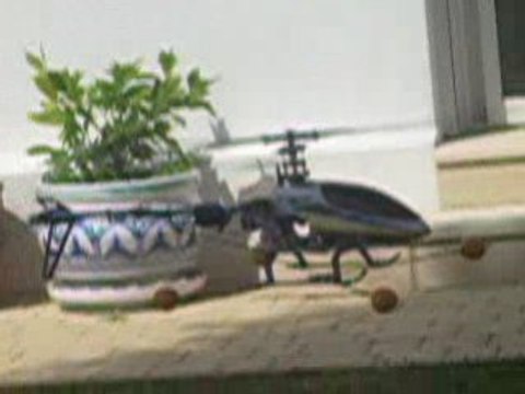 T-REX 450 SE V2 : Premiers petits vols dans jardin.