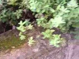 Cash Gifting Another $1,800 in three days Too Easy...