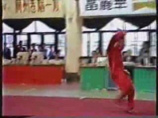 Wushu - Wang Jian Jun