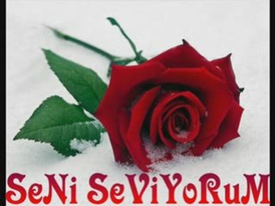 GÜL BAKIŞLIM