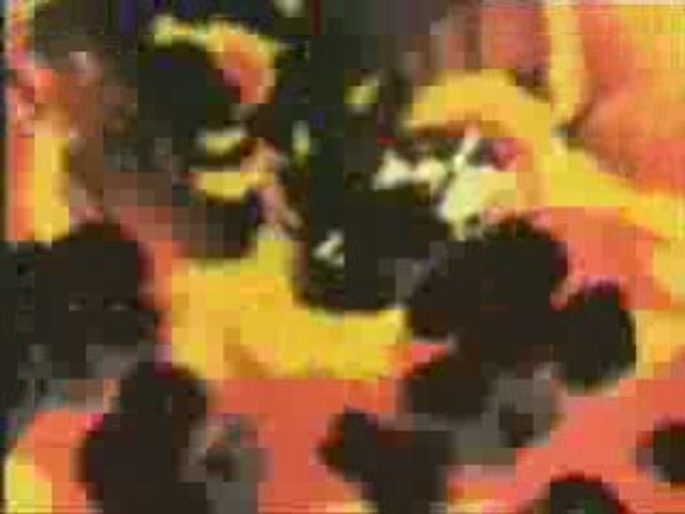 Amv cowboy bebop