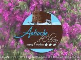 CAMPING ANTIOCHE D'OLERON ***