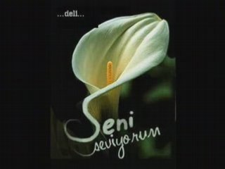 İSMAİL YK-SON DEFA