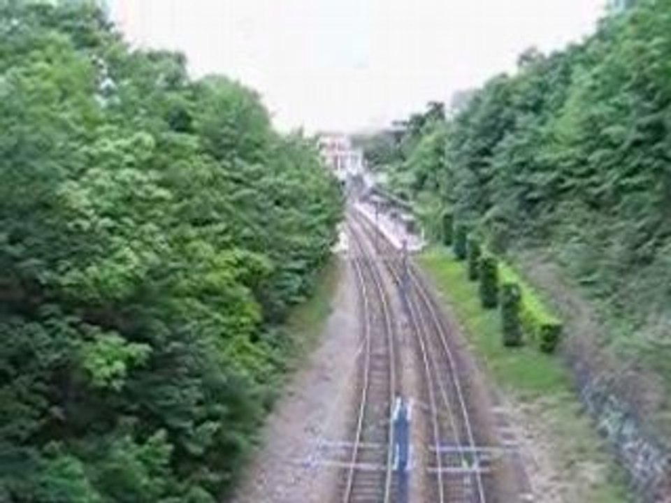 Sisyphe ou La nausée de la Ruelle aux Bœufs