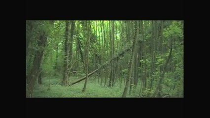 Bande-Annonce 1 - Les Aventurières : et la Malédiction du...