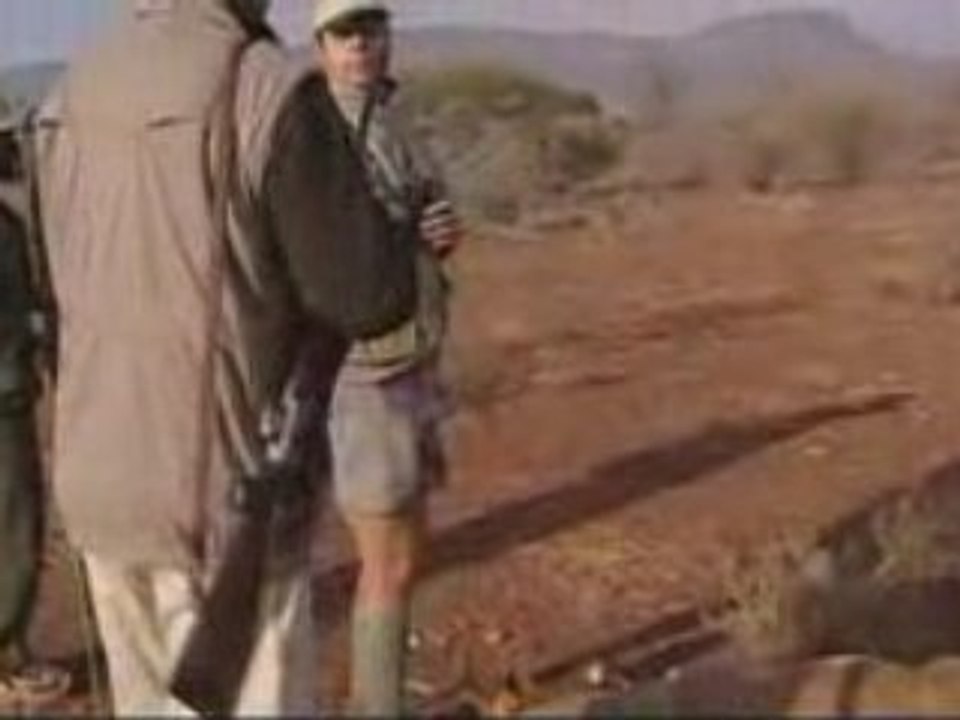 Afrique du sud - Chasse à l'Impala