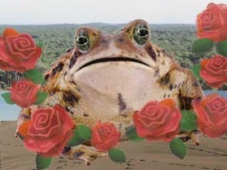 Stop béton: Les nouveaux gestionnaires du foncier??