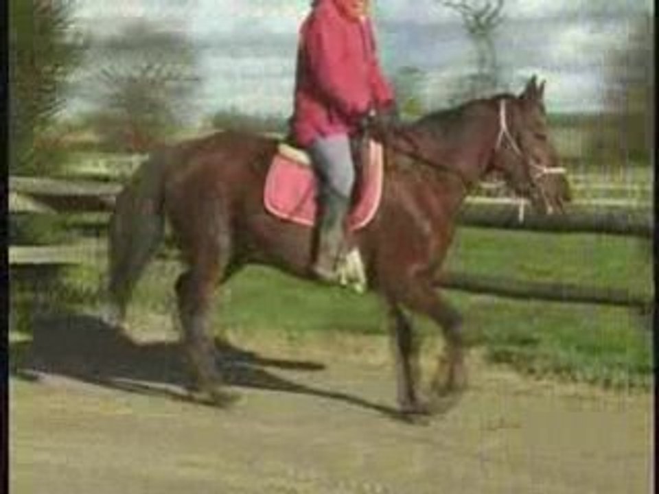 Qualinka