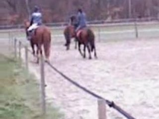 Magica novembre 2008