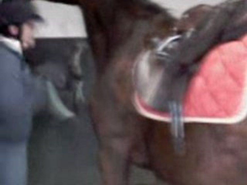 Magica novembre 2008