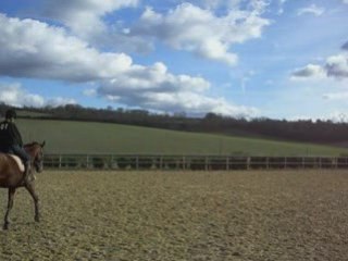 Travail sur le plat avec Miss