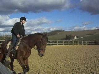 Travail sur le plat avec Miss 3