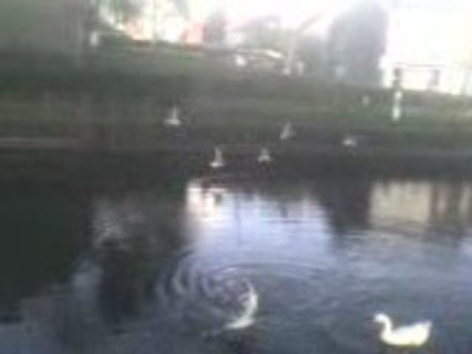 Canal à Houdeng