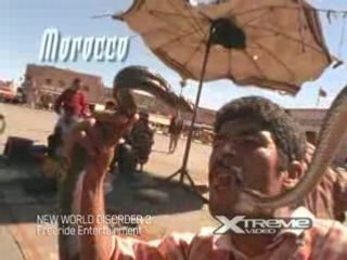 New World Disorder 2 - Freeride Entertainment