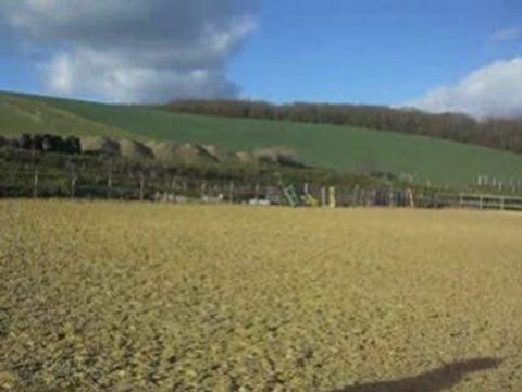 Travail sur le plat avec Miss 4