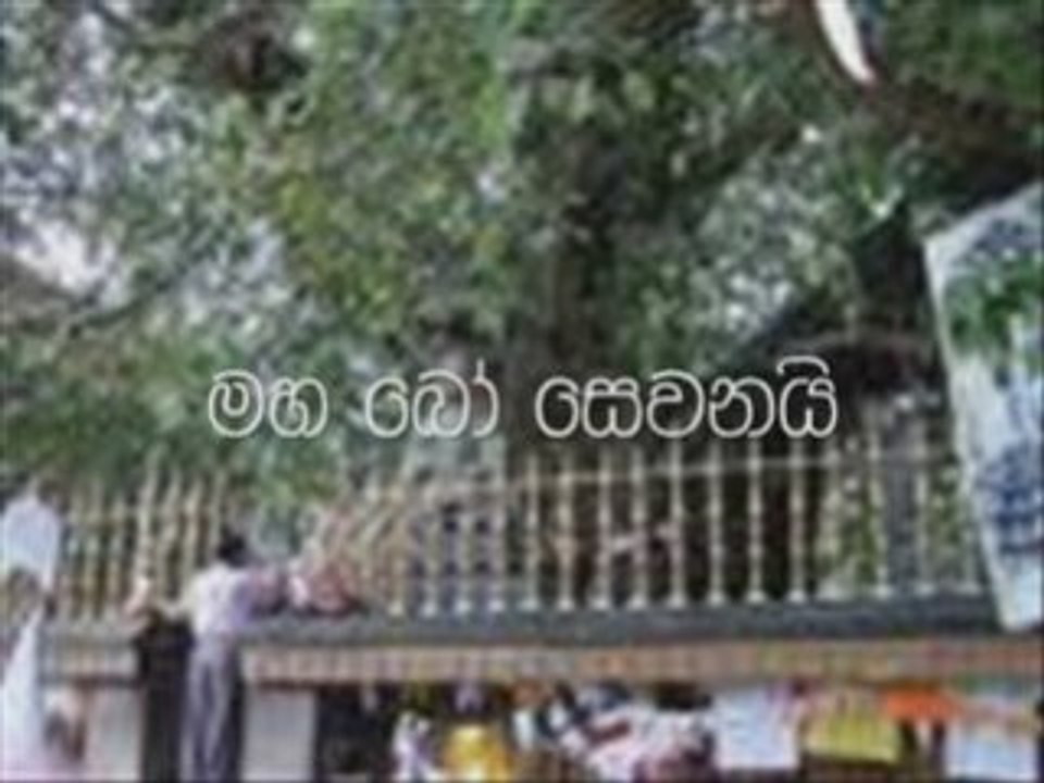 sri lanka song Sasara vasana thuru