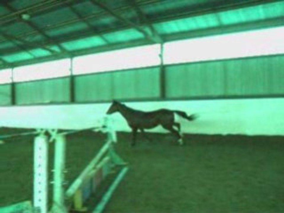 Biloulibre