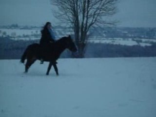 2 fous lâchés dans un pré