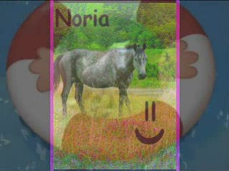 Poney club du val de saone