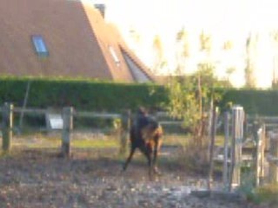 DSCF2383