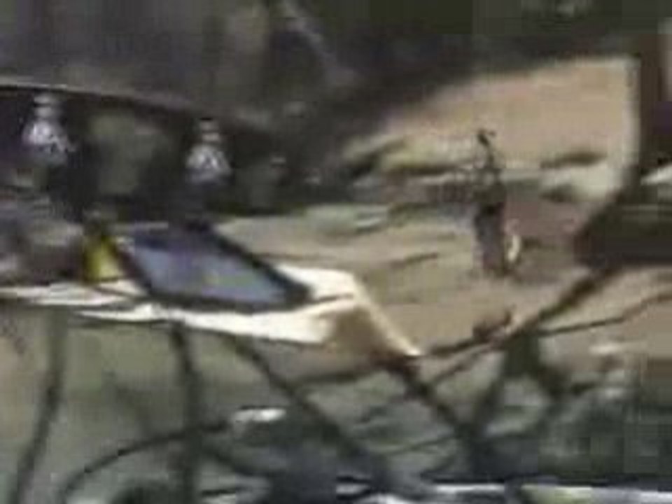 Rope Swing Gone Wrong