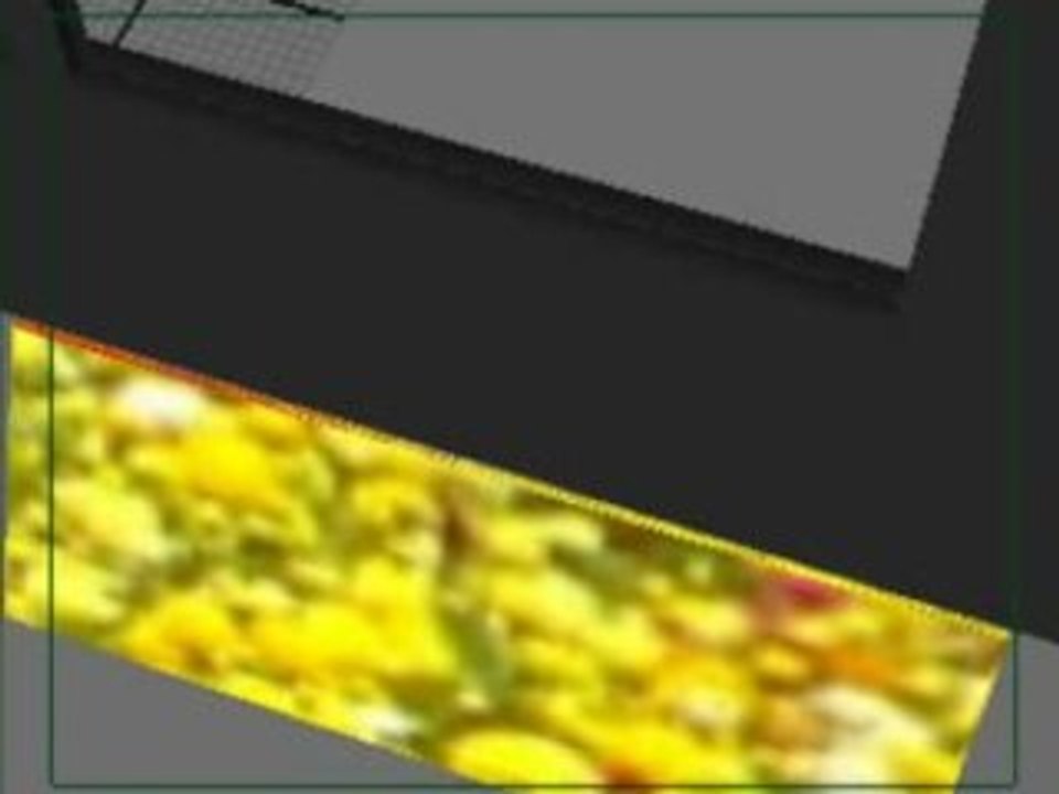 Bee Animatic