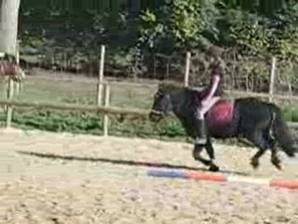 Changement de pieds au galop
