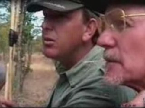 Afrique-Sud-safari-chasse