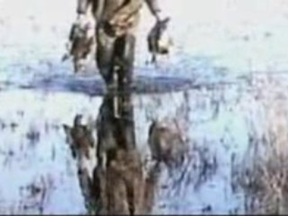 Chasse aux canards en Argentine