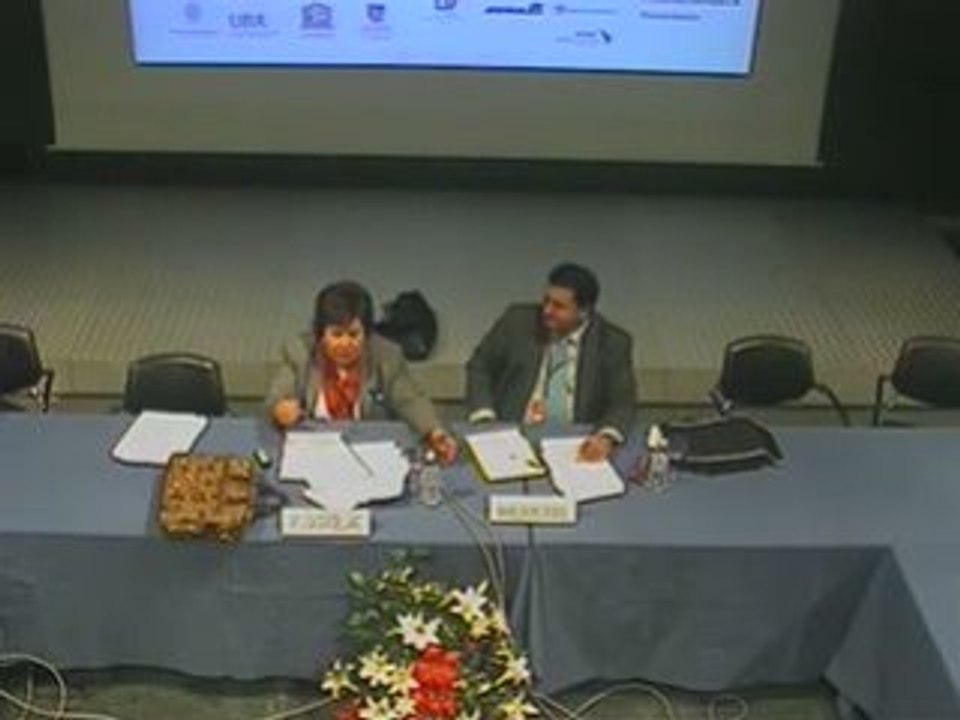 1ª parte Preguntas Mª Luisa Cava CIEDI 2008
