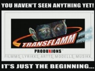 TRANSFLAMM TT1_ENGLISH