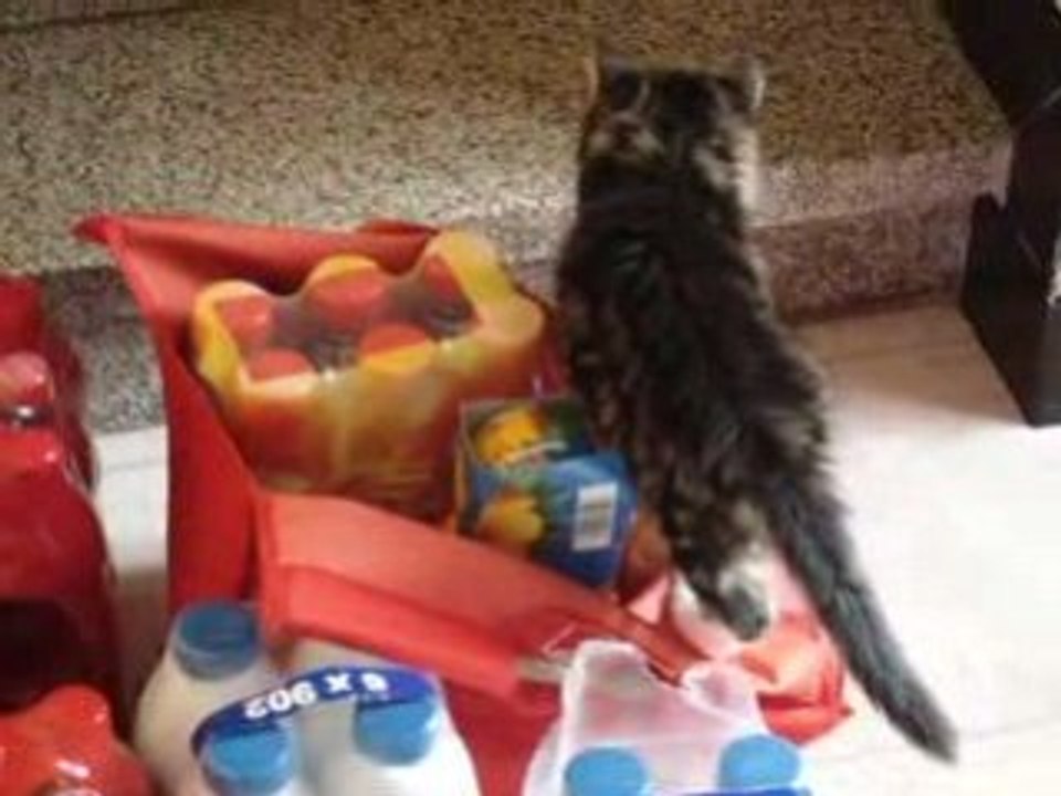 Vidéo 069