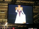 Japan Expo 2008, Cosplay - Zelda (The Legend of Zelda)