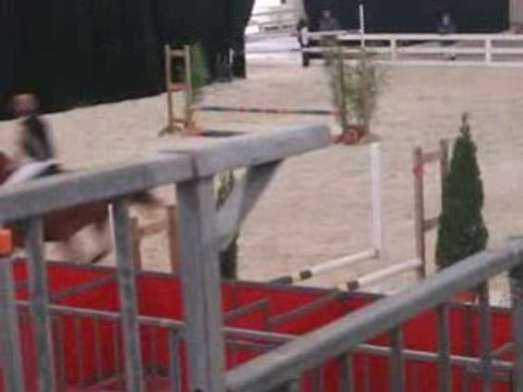 Salon du cheval 2008 Levis&Jù